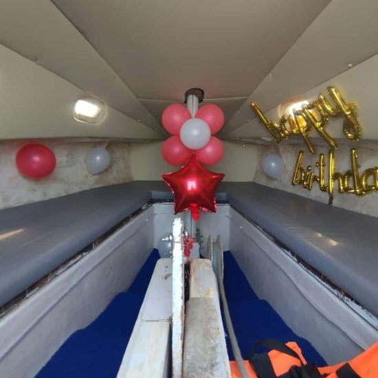 Budapest Yacht on Charter in Mumbai